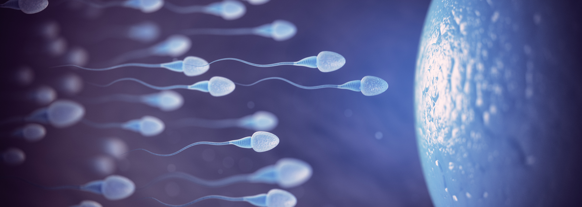 Fertility and Preconception